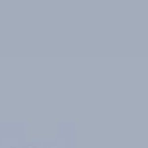 Meet your Posher, Ava